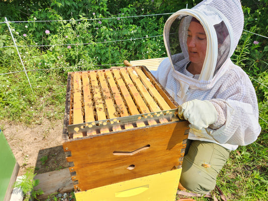 Australia 9 Frame Spacer - Mouse Guard-Flow hive