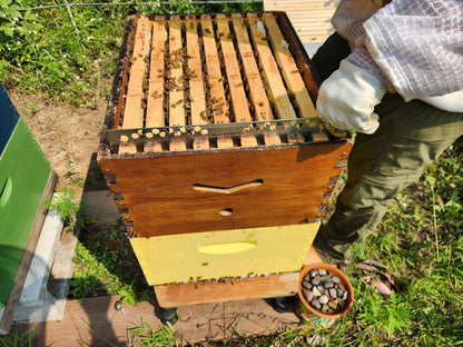 Australia 9 Frame Spacer - Mouse Guard-Flow hive