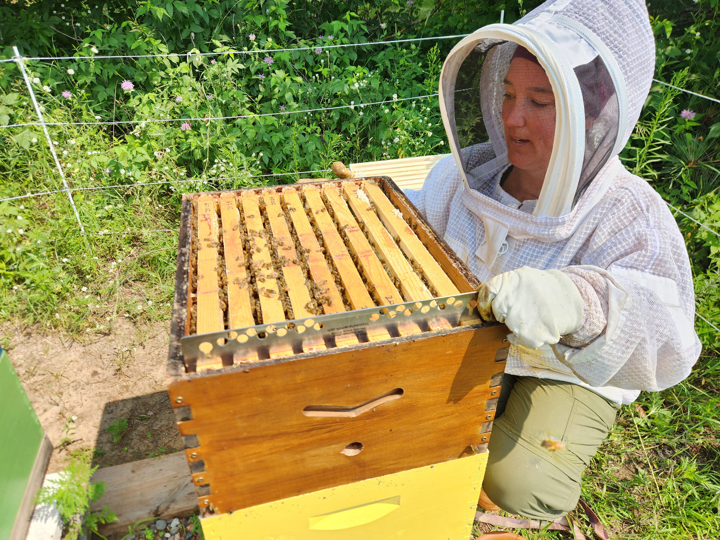 Australia 9 Frame Spacer - Mouse Guard-Flow hive