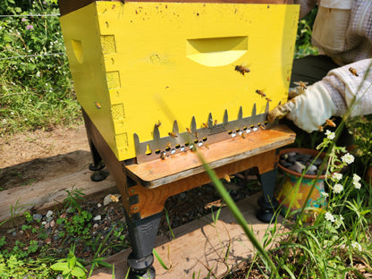 Australia 9 Frame Spacer - Mouse Guard-Flow hive